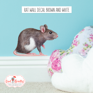 Rodent and small furry animal wall stickers